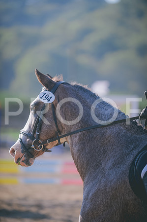 JJS_7991A