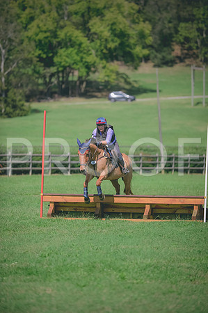 JJS_7452