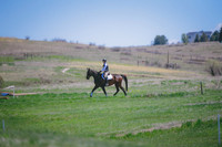 _DSC0293