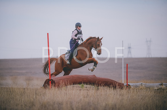JJS_6146