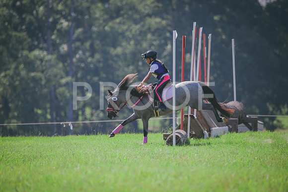 RWP_6421
