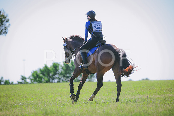 RWP_1387