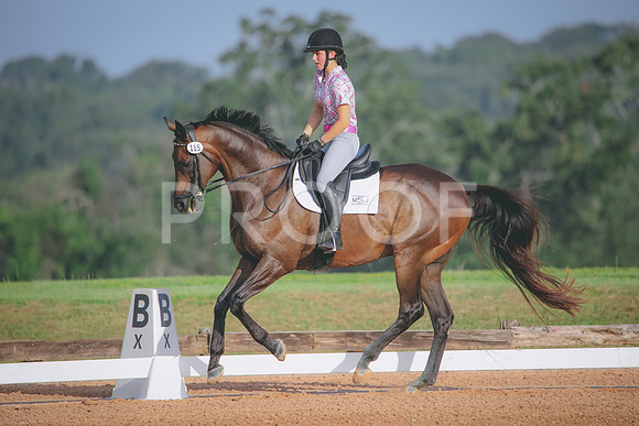 RWP_4344