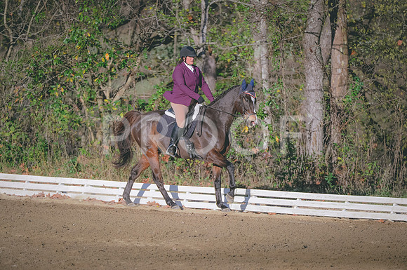 JJS_4758