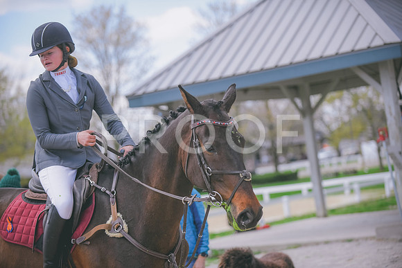 DSC_0648
