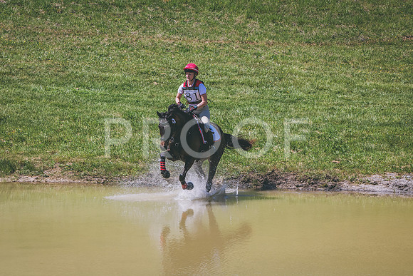 IMG_7553