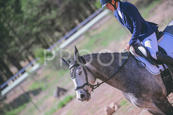 DSC_9184A