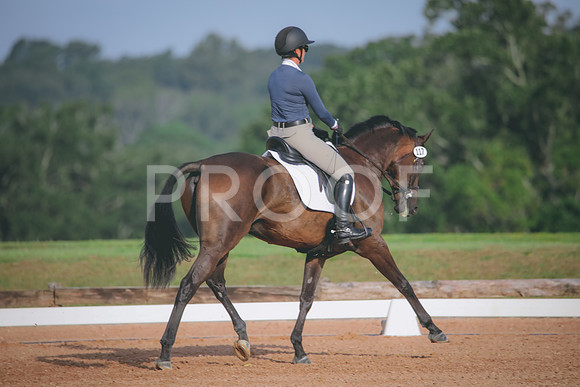 RWP_4383
