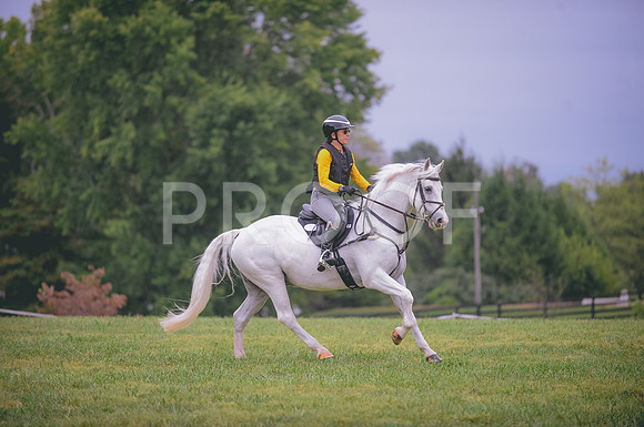 JJS_5972