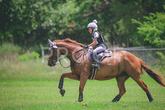 RWP_3743