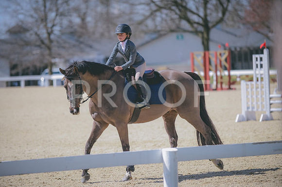JJS_3278