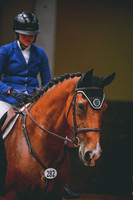 DSC_6203