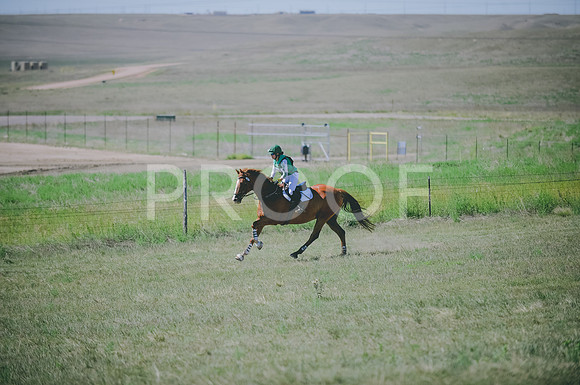 JJS_8020