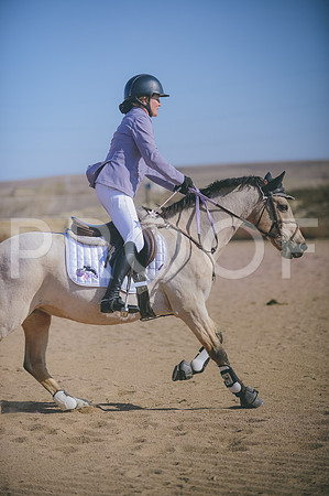 JJS_3531A