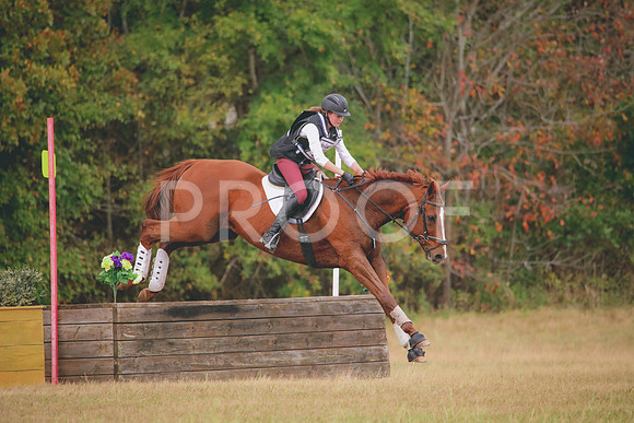 RWP_3442