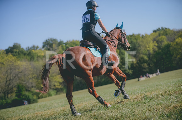 JJS_0443