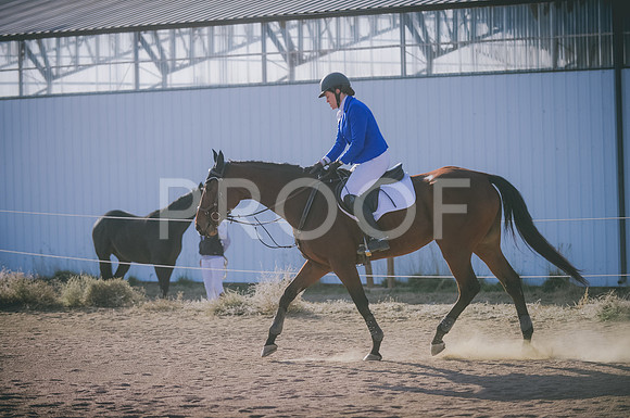 JJS_8061