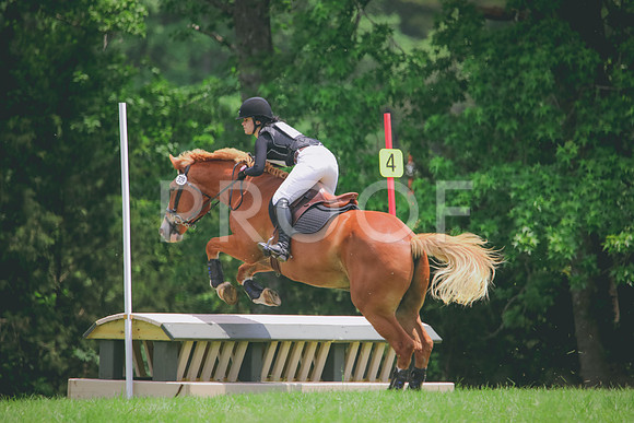 RWP_4846