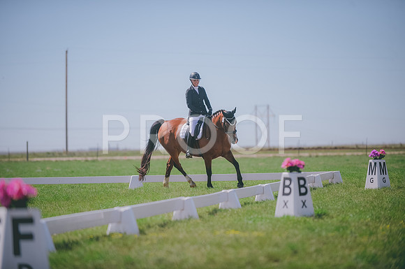 JJS_4238