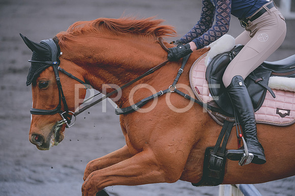JJS_2617