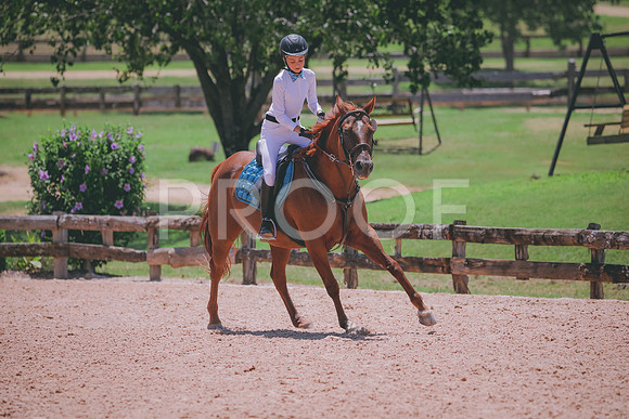 RWP_5587