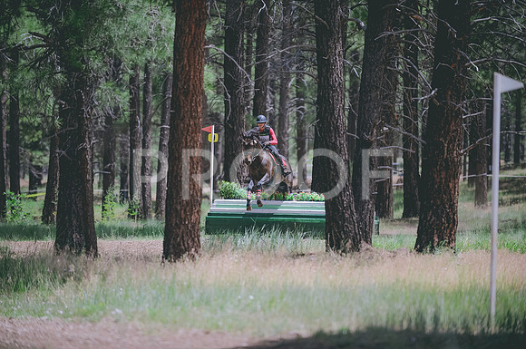 JJS_1784A
