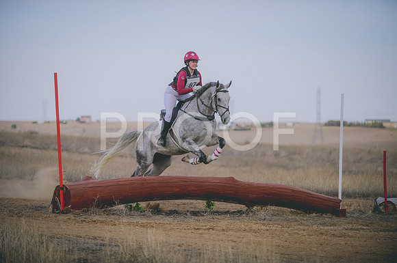 JJS_4633