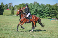 3T5A1596