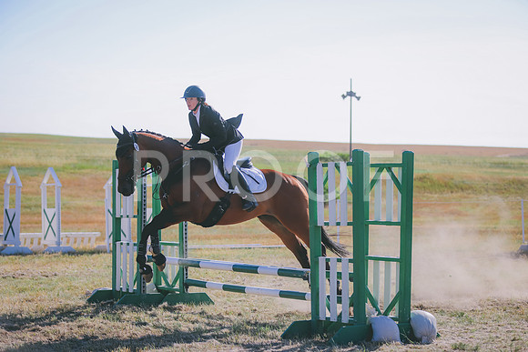 7B5A6137
