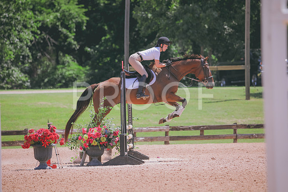 RWP_5331