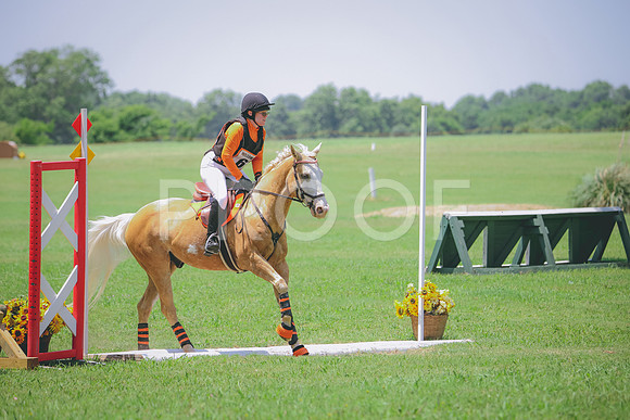 RWP_3918