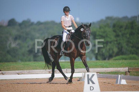 RWP_4636
