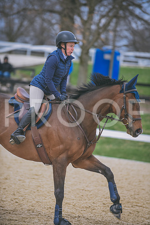 DSC_0300 copy