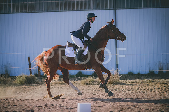 JJS_8348
