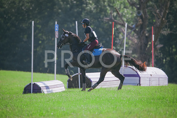 RWP_6446