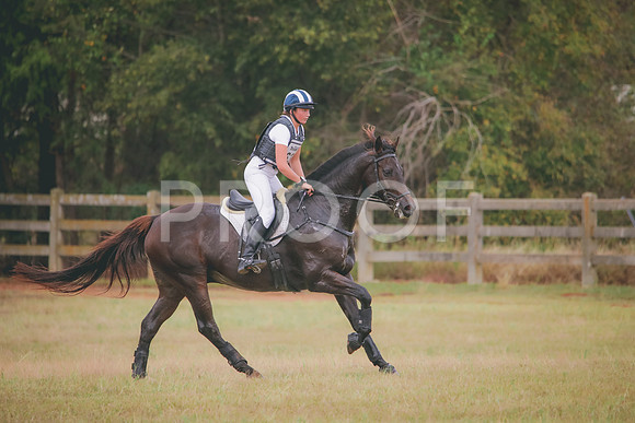 RWP_2982