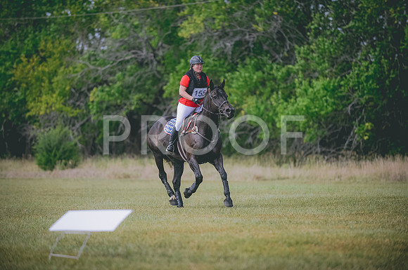 JJS_8019