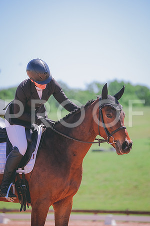 RWP_0113