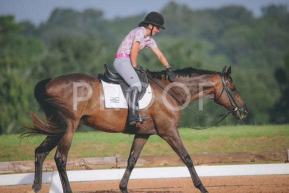 RWP_4366