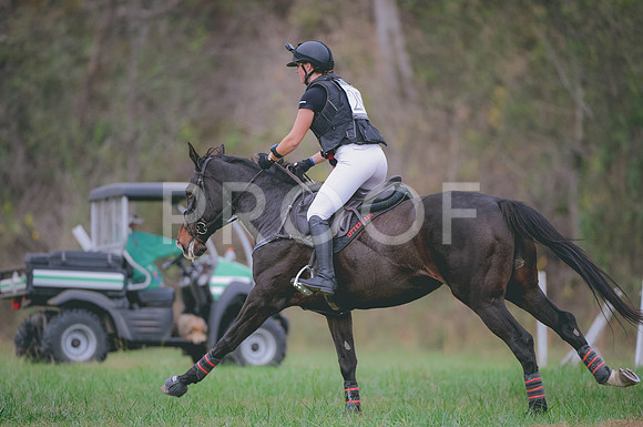JJS_0565A