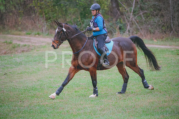 JJS_2115