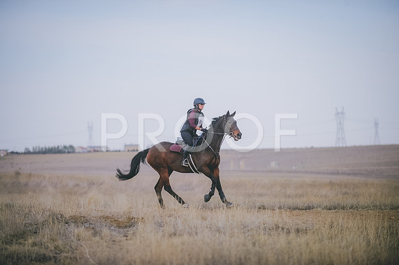 JJS_5355