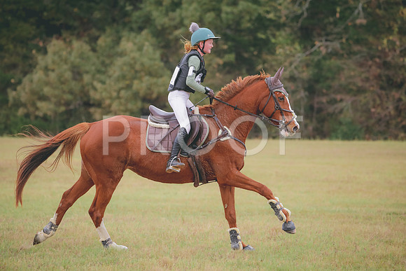 RWP_3650
