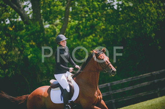JJS_3968A