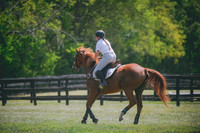 JJS_4207