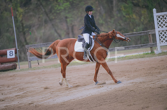 JJS_3237