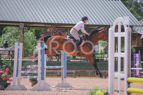 RWP_5029