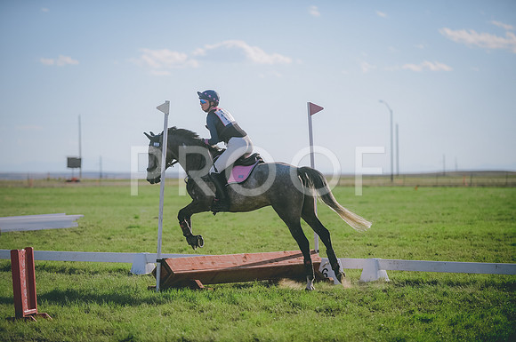 JJS_1741