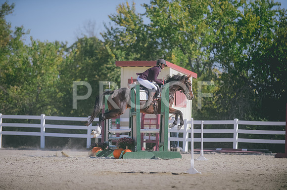 JJS_0627