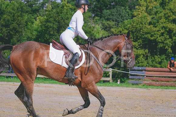 DSC_0383